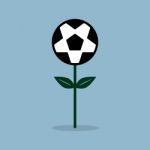 Soccer Ball Flower Plant Stock Photo