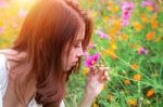 Young Beautiful Woman Smells A Flower Stock Photo