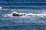 Ocean With Rocks Stock Photo