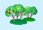 Fruit Trees Illustration Isolated Stock Photo