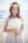 Beautiful Young Woman On The Beach Stock Photo