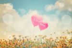 Love Concept Background Stock Photo