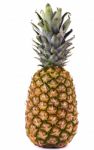 Pineapple On White Stock Photo