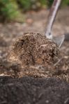 Shovelling Soil Stock Photo