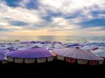 Large Umbrella Crowded Along The Beach Stock Photo