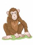 Cartoon Monkey Stock Photo