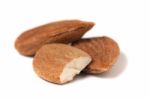 Sweet Almond Drupes Stock Photo