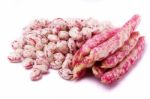 Borlotti Beans Stock Photo