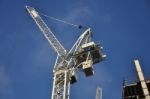 Crane Stock Photo