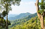 High Angle View Forest Mountain And Sky Stock Photo