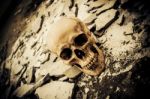 Human Skull On Ruins Place Stock Photo