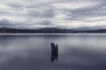 Lake Moogerah In Queensland Stock Photo