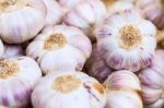 White Purple Italian Garlic Heads On Display For Sale At Farmers Stock Photo