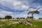 Spring Countryside Landscape Stock Photo