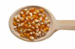 Corn Seeds On Wooden Spoon Stock Photo