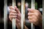 Hand In Jail Stock Photo