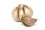 Single Garlic Bulb Stock Photo