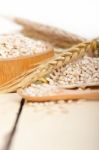 Organic Barley Grains Stock Photo