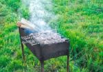 Shish Kebab Is Fried On Coals Stock Photo