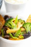 Tofu Beancurd And Vegetables Stock Photo