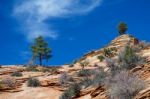 Ancient Escarpment In Zion National Park Stock Photo