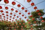 Chinese Paper Lantern Stock Photo