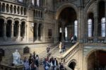 People Exploring  The National History Museum In London Stock Photo