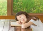 Asian Gir Sleeping While Learning Stock Photo