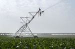 Irrigation Of Corn Field Stock Photo