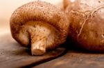 Shiitake Mushrooms Stock Photo