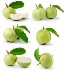 Guava  On White Background Stock Photo