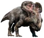 Protoceratops Stock Photo