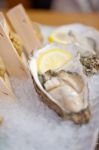 Japanese Style Oyster And Sea Urchin Stock Photo