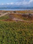 Morro Rock Bay Stock Photo