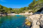 Lagoon Surrounded By Trees Stock Photo