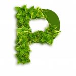 Letter P With Leaves Stock Photo