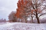 First Snow In The Autumn Park. Fall Colors On The Trees. Autumn Stock Photo