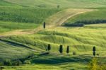 Countryside Of Val D'orcia Tuscany Stock Photo