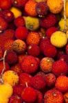 Strawberry Tree (arbutus Unedo) Fruit Stock Photo