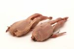 Raw Quails Stock Photo