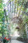 Simple Outdoor Bamboo Arch Into The Garden Stock Photo