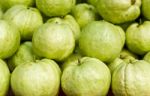 Fresh Guava Fruit Stock Photo