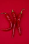 Three Red Pepper Stock Photo