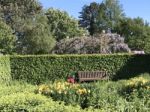 Nature And Flowers In The Park Stock Photo