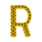 Isolated Sunflower Alphabet R Stock Photo