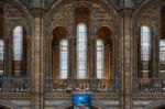 Interior View Of The Natural History Museum In London Stock Photo