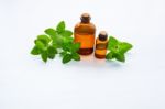 Mint Essential Oil In A Glass Bottle With Leaves On White Backgr Stock Photo