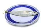 Atlantic Mackerel Stock Photo