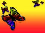 Background Multicolor With Butterfly Stock Photo