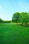 Beautiful Morning Light In Public Park With Green Grass Field An Stock Photo